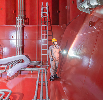 Morning Glory Case Study